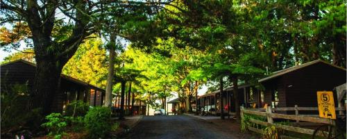 Dorrigo Mountain Holiday Park
